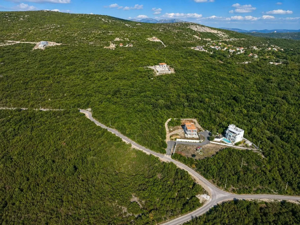 Pogled iz vazduha na okolno zelenilo i kuće u prirodi.