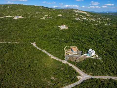 Pogled iz vazduha na okolno zelenilo i kuće u prirodi. - image 3