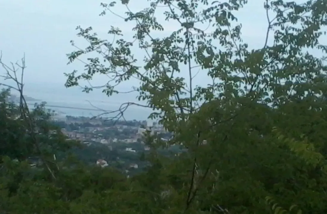 Sale, land lot, 20752m², Župci, Bar