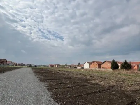 Prodaja, plac, 600m², Borča Sve Podlokacije, Beograd - image 4