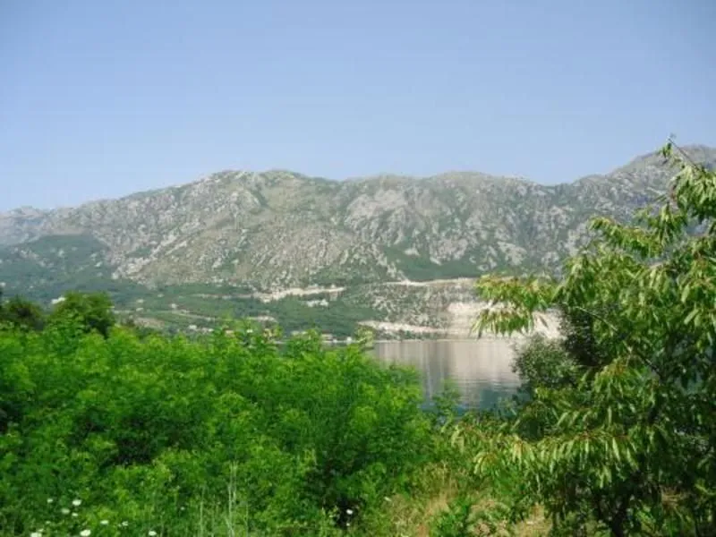 Pogled na more i planine okružene zelenilom.