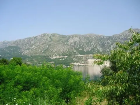 Pogled na more i planine okružene zelenilom. - image 4