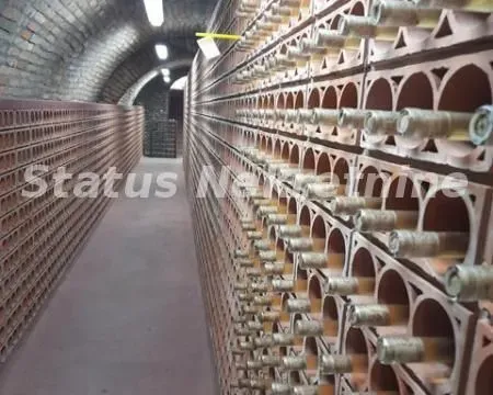 Prodaja, poslovni prostor, 500m², Sremski Karlovci, Novi Sad