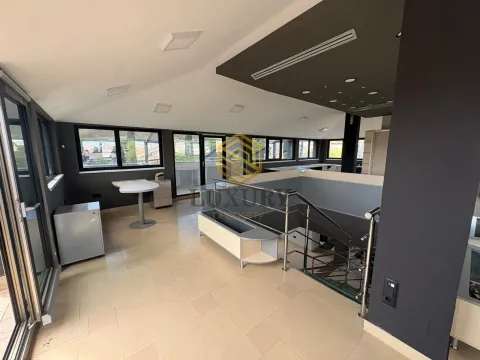 Izdavanje, poslovni prostor, 460m², Zabjelo, Podgorica - image 5