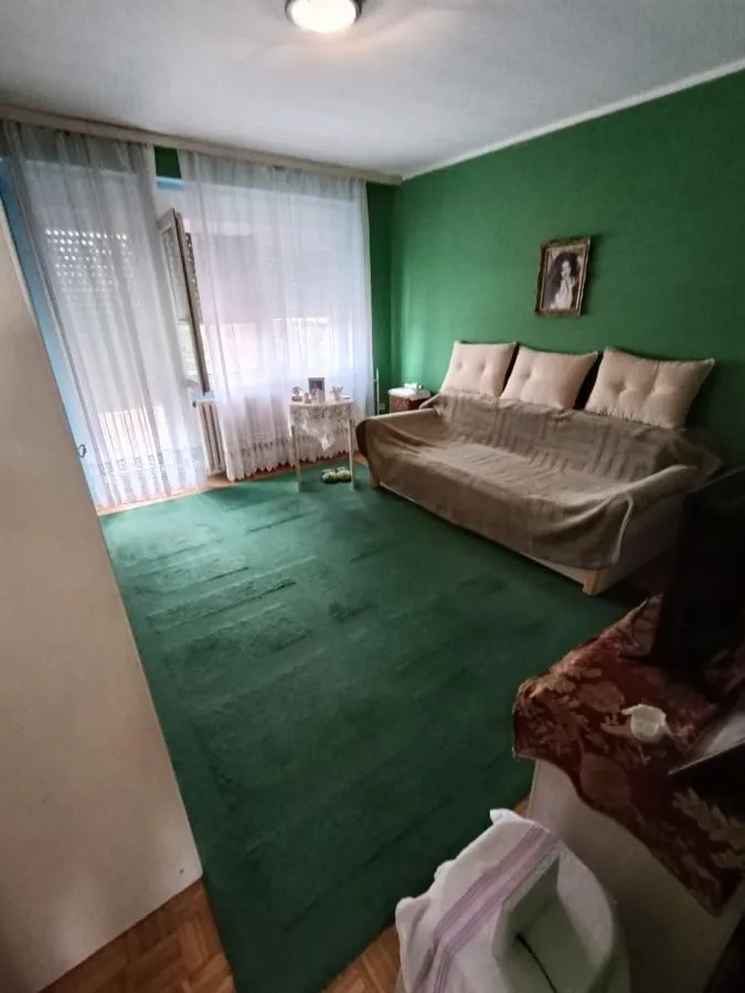 Dnevna soba sa zelenim zidom, kaučem i izlazom na terasu.