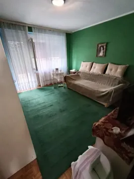 Dnevna soba sa zelenim zidom, kaučem i izlazom na terasu. - image 22