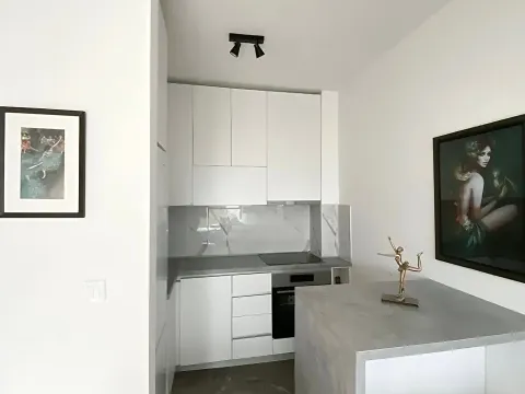 Izdavanje, jednosoban stan, 49m², Seljanovo, Tivat - image 10