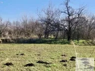 Prodaja,  kuća, 0m2, Belegiš, Stara Pazova