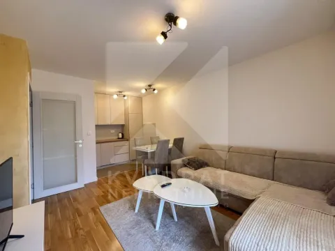 Rent, one bedroom apartment, 42m², Tuški Put, Podgorica - image 3