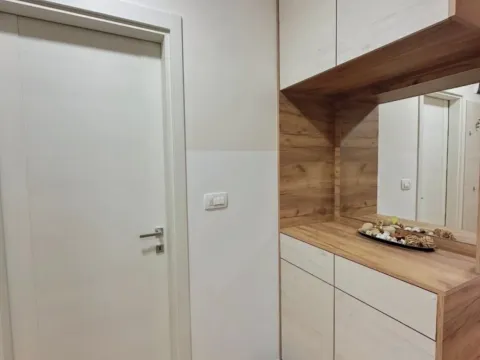 Izdavanje, jednosoban stan, 43m², Central Point, Podgorica - image 10