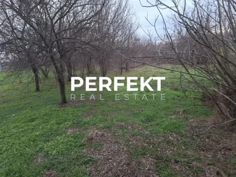 Prodaja, plac, 2291m², Vojlovica, Pančevo - image 3