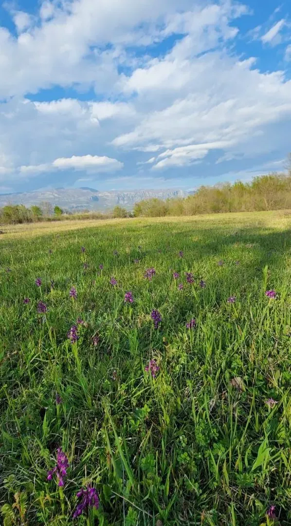 Prodaja, plac, 5554m², Jastreb, Danilovgrad