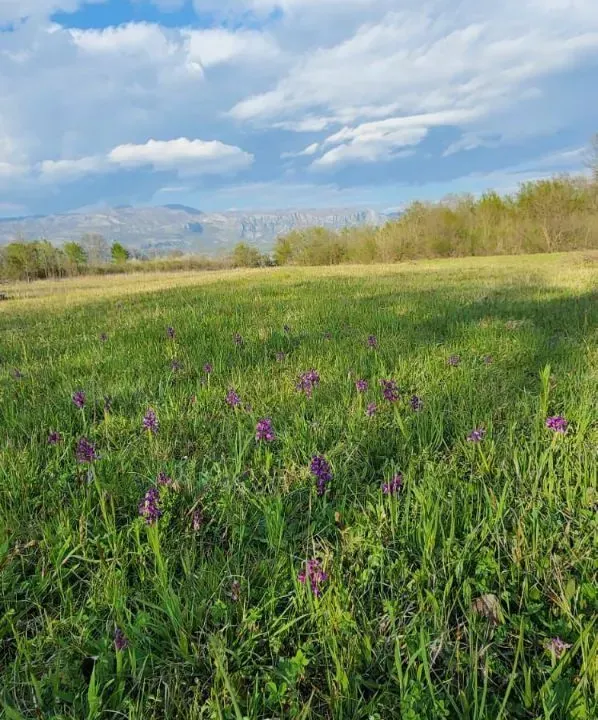 Sale, land lot, 5554m², Jastreb, Danilovgrad