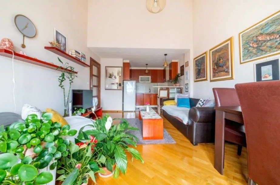 Izdavanje, jednosoban stan, 52m², Preko Morače, Podgorica