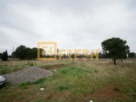 Sale, land lot, 67000m², Ostalo, Podgorica - image 2