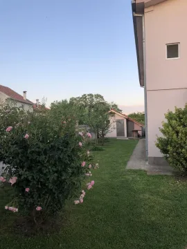 A well-kept yard with a green lawn and a rose bush next to the house. - image 4