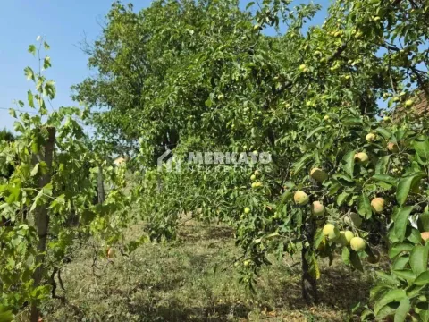 Sale, land lot, 3100m², Bagljaš, Zrenjanin - image 15