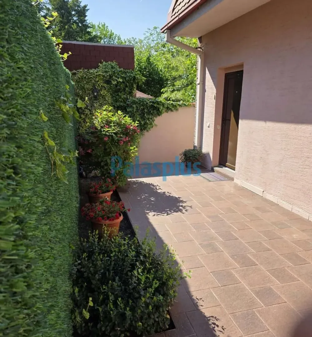 Rent, house, 150m², Bulbulder, Zvezdara Sve Podlokacije