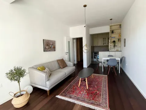 Rent, one bedroom apartment, 48m², Vezirov Most, Podgorica