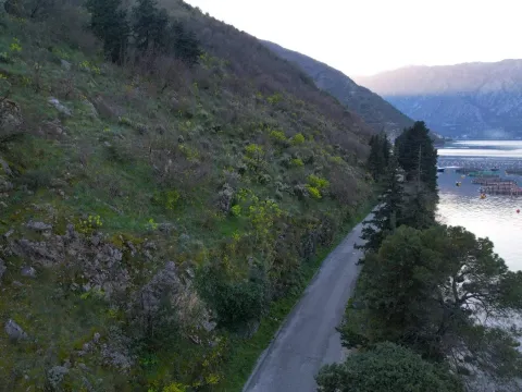 Prodaja, plac, 19000m², Stoliv, Kotor - image 11
