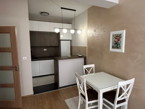 Rent, one bedroom apartment, 45m², Ljubović, Podgorica - image 4