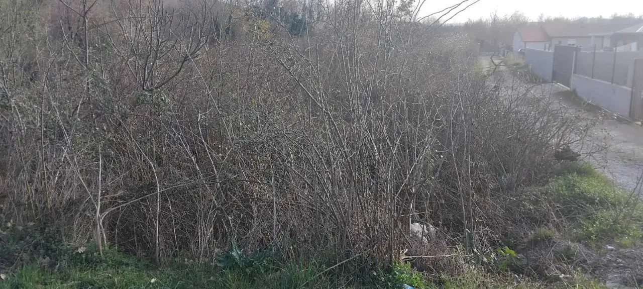 Sale, land lot, 2386m², Dajbabe, Podgorica
