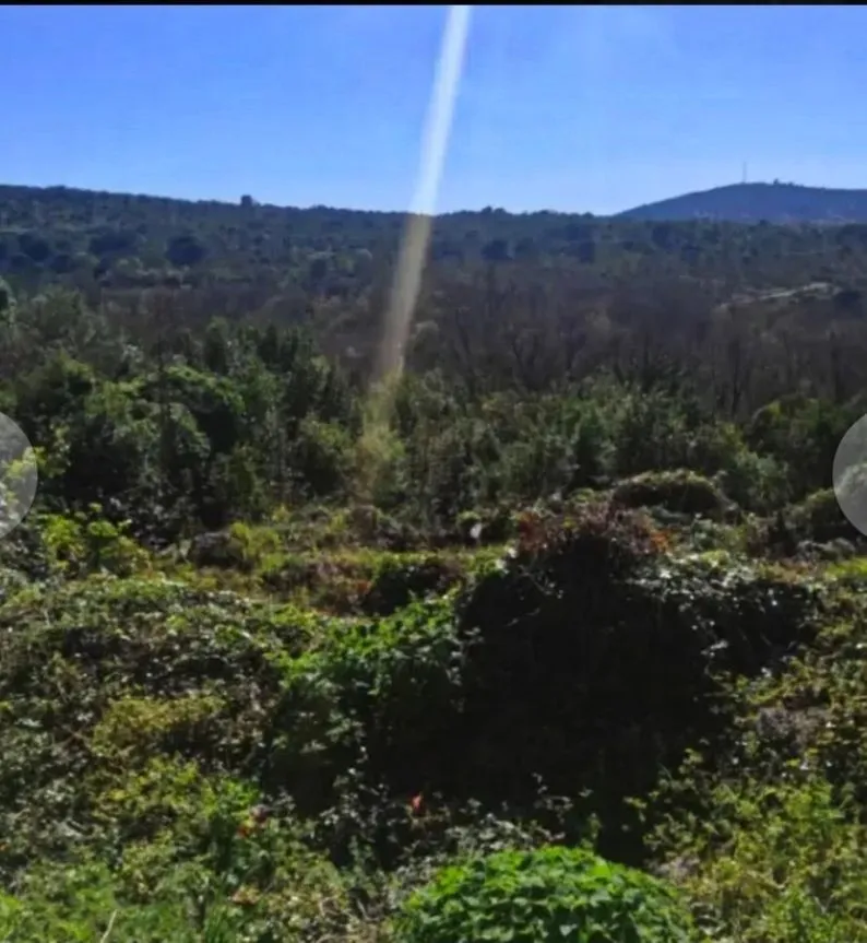 Prodaja, plac, 2500m², Višnjevo, Kotor