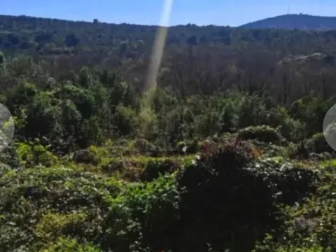 Sale, land lot, 2500m², Višnjevo, Kotor - image 5