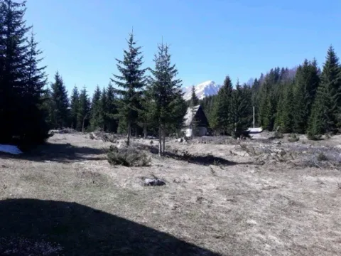 Prodaja, kuća, 70m², Motički gaj, Žabljak - image 2