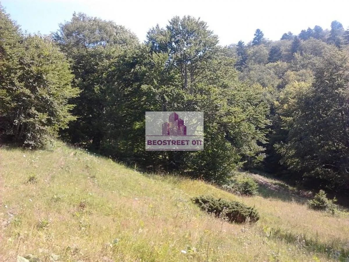 Prodaja, plac, 1500m², Andrijevica, Crna Gora