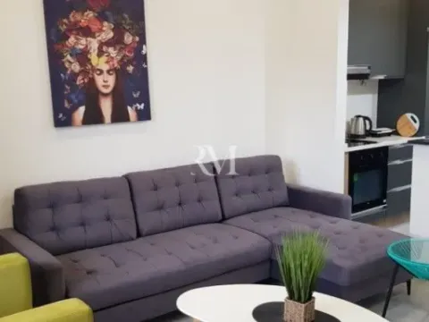 Izdavanje, jednosoban stan, 57m², Bečići, Budva - image 5