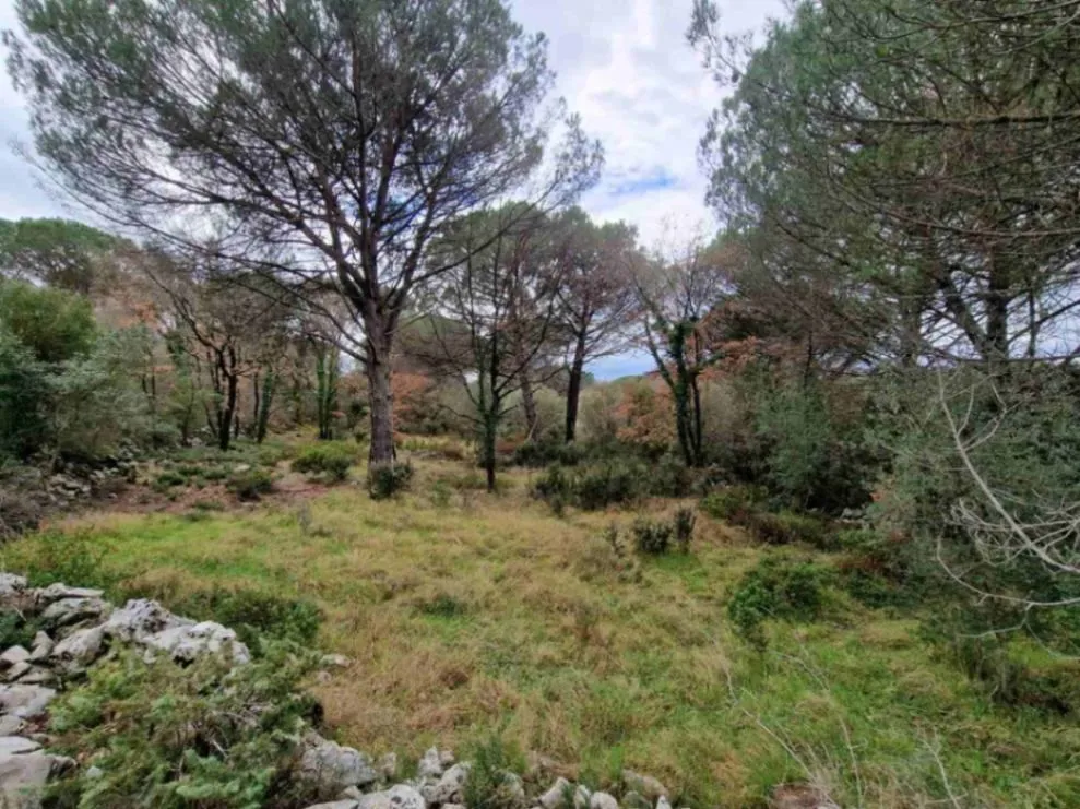 Prodaja,  zemljište, 1150m2, Zagora, Kotor