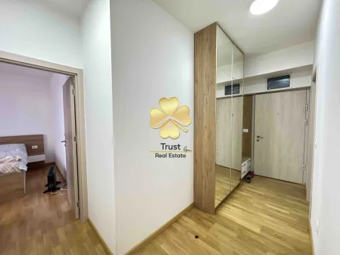 Izdavanje, dvosoban stan, 70m², Stari Aerodrom, Podgorica - image 4