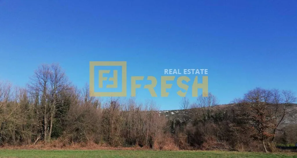 Sale, land lot, 6100m², Danilovgrad, Crna Gora