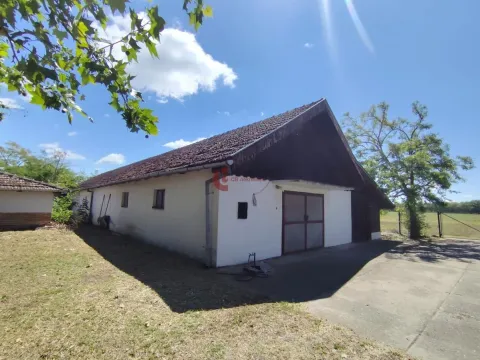 Prodaja, kuća, 880m², Bački Vinogradi, Subotica - image 34