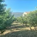 Prodaja, plac, 1658m², Herceg Novi, Crna Gora - image 2