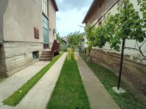 View of the courtyard and driveway with greenery. - image 4