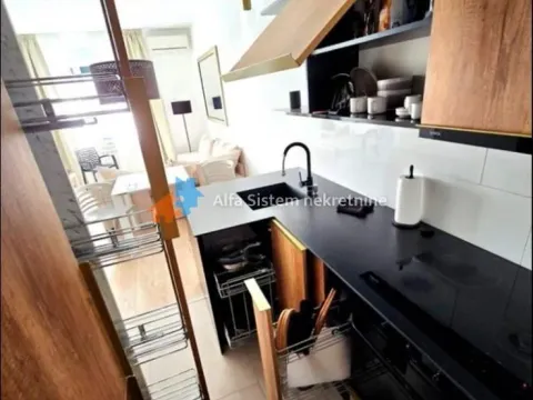 Rent, two bedroom apartment, 42m², Lion, Zvezdara Sve Podlokacije - image 7
