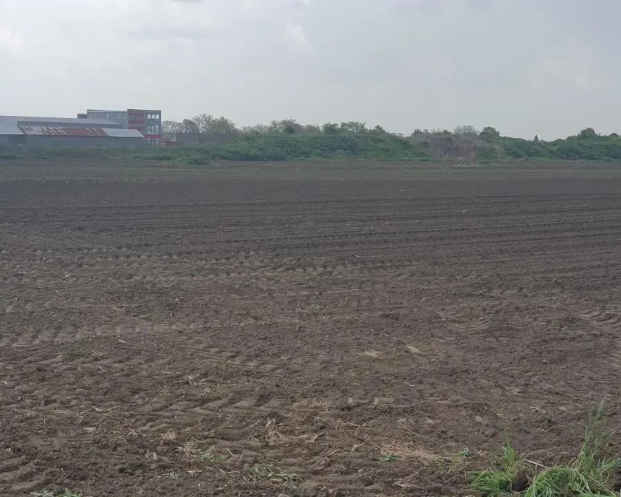 Prodaja, plac, 1204m², Ruma, Srbija