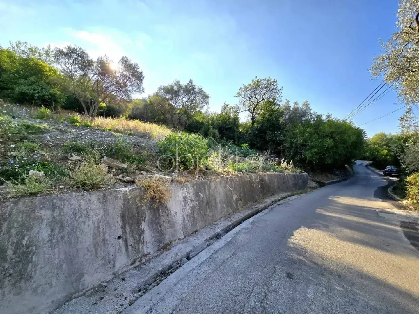 Asfaltni put pored placa sa zelenilom i drvećem.