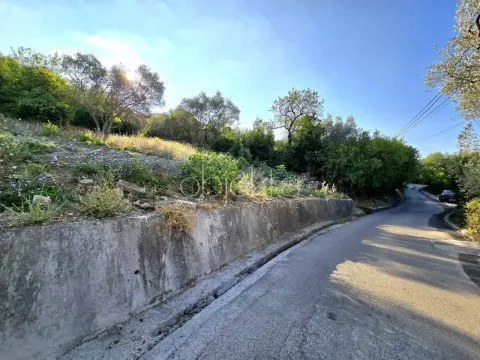 Asfaltni put pored placa sa zelenilom i drvećem. - image 3