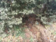 Prodaja, plac, 8248m², Sasovići, Herceg Novi - image 4