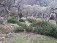 Prodaja, plac, 1604m², Velembusi, Bar - image 4