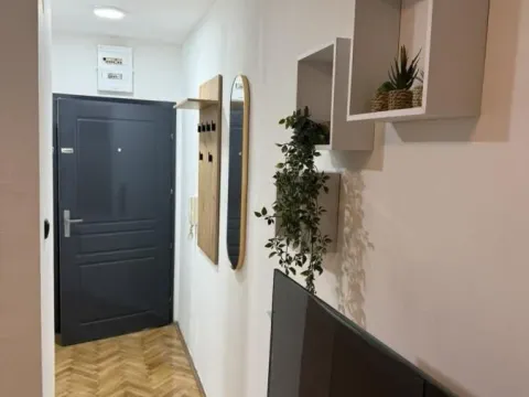 Rent, studio apartment, 22m², Grbavica, Novi Sad Sve Podlokacije - image 4