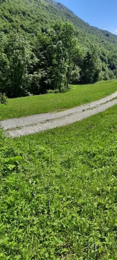 Prodaja, plac, 19200m², Štitarica, Mojkovac