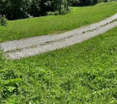 Prodaja, plac, 19200m², Štitarica, Mojkovac - image 3