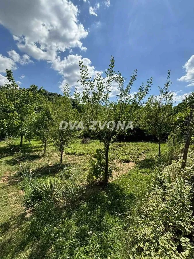 Prodaja, kuća, 36m², Čortanovci, Inđija