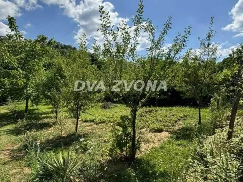 Prodaja, kuća, 36m², Čortanovci, Inđija - image 3