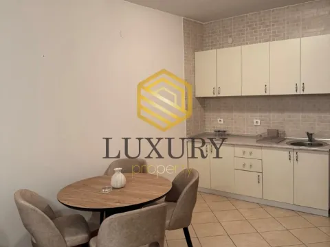 Izdavanje, jednosoban stan, 54m², Zagorič, Podgorica - image 2