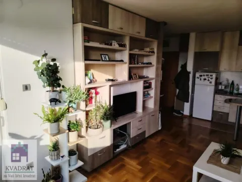 Prodaja, stan, 42m², Salajka, Novi Sad Sve Podlokacije - image 4